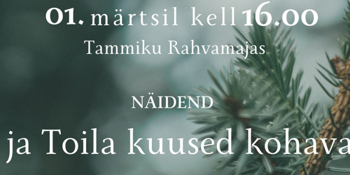 Kuvatõmmis 2025-02-11 101521